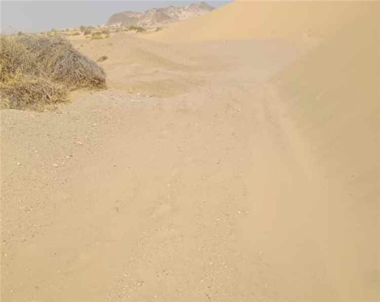 رئيس اللجنة الأهلية بمنطقة الحامية يشكر مدير عام رضوم وشركة الغاز لإزاحة الرمال من خط الحامية
