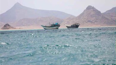 رويترز: إيران طلبت من الحوثيين إغلاق باب المندب إذا قصفت أمريكا شبكة الكهرباء
