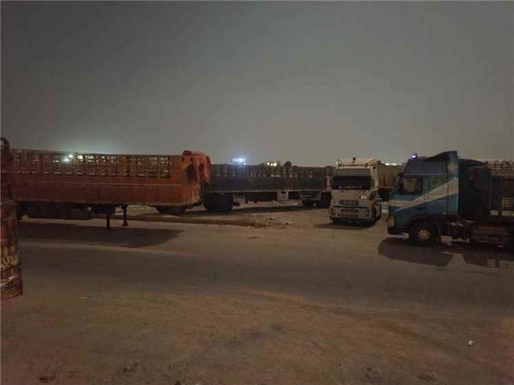 سائقو النقل "الفلة السفري" في ميناء المكلا يوجهون شكوى عاجلة لمحافظ حضرموت ويطالبون بوقف ما وصفوه بـ"التعسفات"