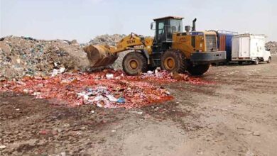 صحة بيئة المنصورة تتلف أربعة أطنان من المواد الغذائية وحلويات الأطفال غير الصالحة للاستهلاك