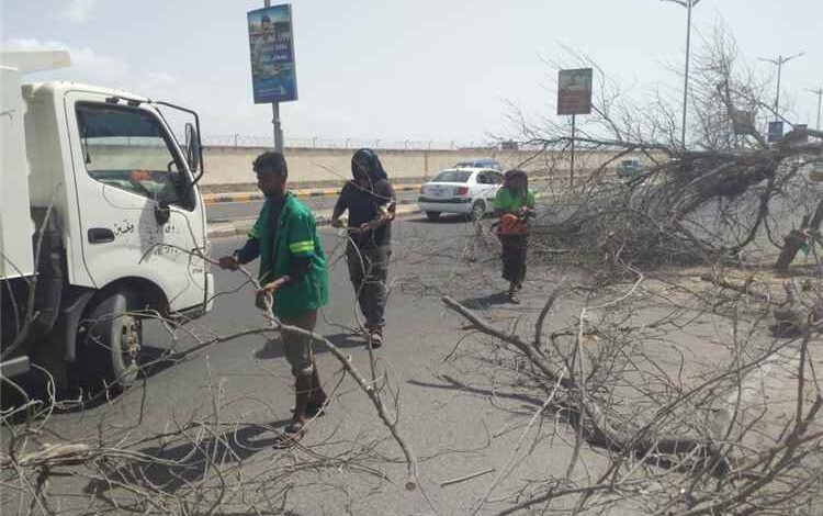 صندوق النظافة بعدن ينفذ حملة لرفع الأشجار المتهالكة من خط المطار الدولي