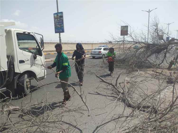 صندوق النظافة يقوم برفع الأشجار المتهالكة من خط مطار عدن الدولي