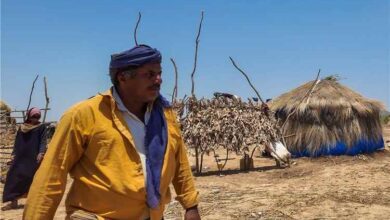عودة مليونَي يمني نازحين داخلياً إلى مناطقهم الأصلية