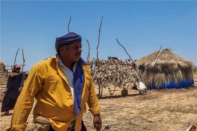 عودة مليونَي يمني نازحين داخلياً إلى مناطقهم الأصلية
