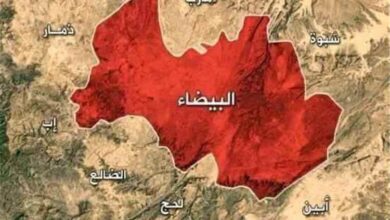 قبائل البيضاء تؤيد دعوة القيادة الشرعية
