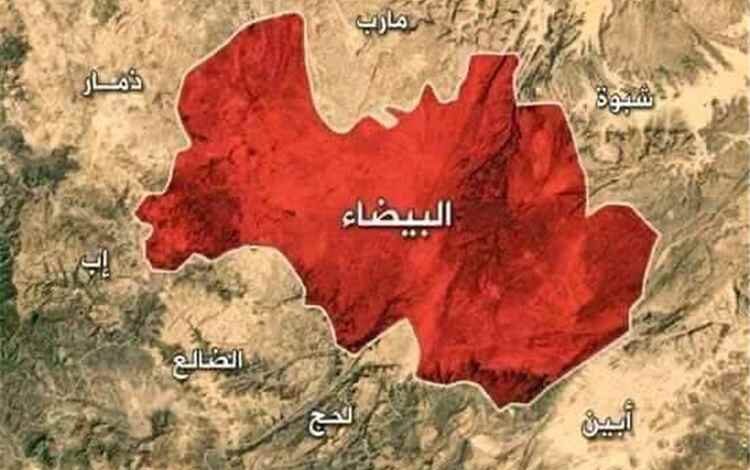 قبائل البيضاء تؤيد دعوة القيادة الشرعية