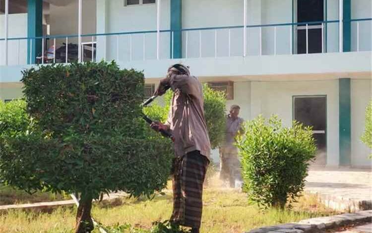قسم التشجير بصندوق النظافة والتحسين ينفذ أعمال تنسيق وتجميل المساحات الخضراء بكلية المجتمع سيئون