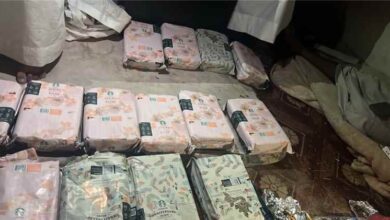 قوات درع الوطن في المهرة تضبط نحو 25 كيلوغرامًا من مادة الشبو وتؤكد استمرار حملتها لمكافحة المخدرات