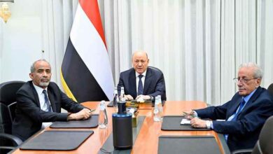 مجلس القيادة  يؤكد اتخاذ جميع الإجراءات لمنع انتهاك السيادة اليمنية