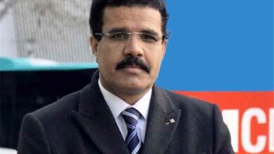 محمد جميح: توافد القبائل يعكس النخوة.. لكن ما الخطة وماذا بعد؟