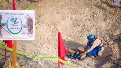 «مسام» يتلف 724 لغماً وذخيرة في حضرموت
