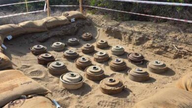 مسام ينتزع 183 لغمًا وعبوات ناسفة من مزارع شمال ميدي ويطهر 300 ألف متر مربع