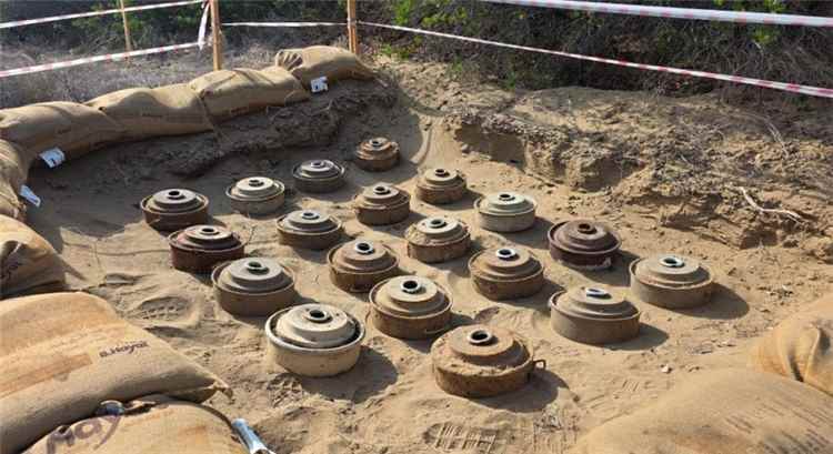 مسام ينتزع 183 لغمًا وعبوات ناسفة من مزارع شمال ميدي ويطهر 300 ألف متر مربع