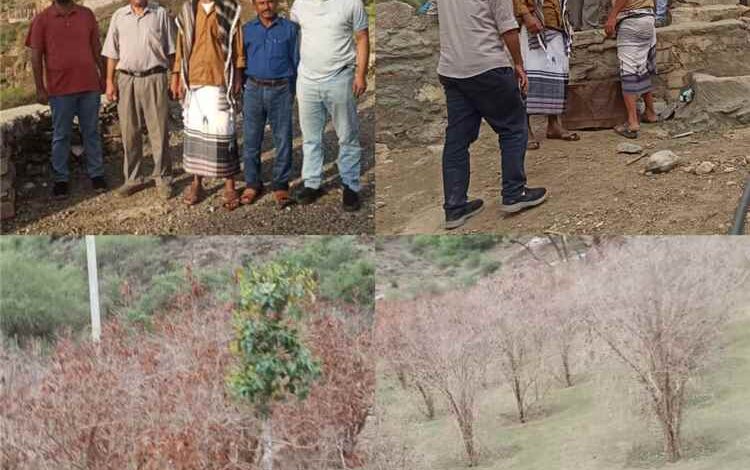 مسح ميداني بسباح يافع لتعزيز الأمن المائي وحماية وادي حسان من مخاطر التغيرات المناخية