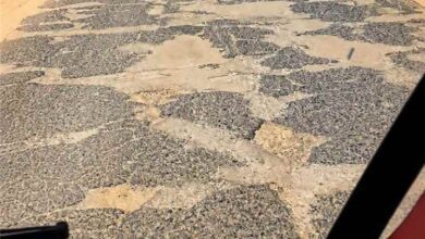 مصرع خمسة شبان وإصابة آخرين في حادث مروري مروع بطريق مأرب – صافر – الرويك