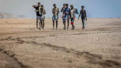 منظمة الهجرة الدولية: تدفق المهاجرين إلى اليمن يقترب من 100 ألف منذ بداية 2026