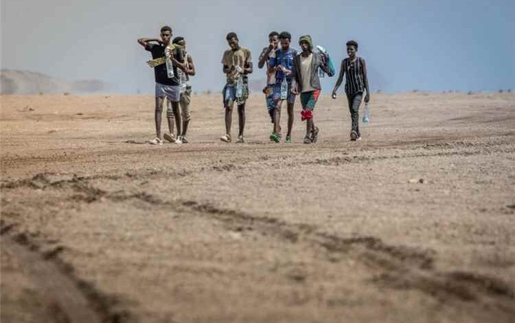 منظمة الهجرة الدولية: تدفق المهاجرين إلى اليمن يقترب من 100 ألف منذ بداية 2026