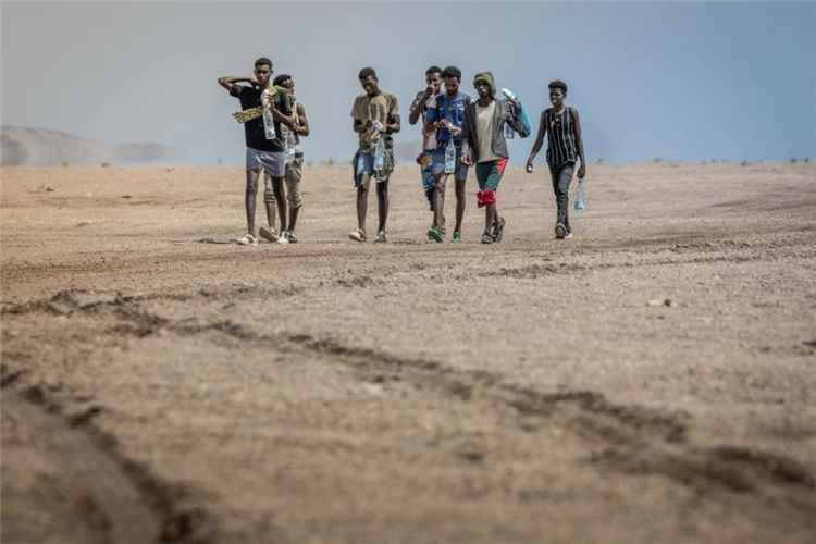منظمة الهجرة الدولية: تدفق المهاجرين إلى اليمن يقترب من 100 ألف منذ بداية 2026