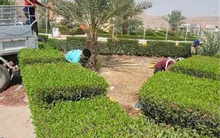 وحدة النظافة والتحسين بمديرية تريم تنفذ حملة نظافة وتحسين بجولة الغرف
