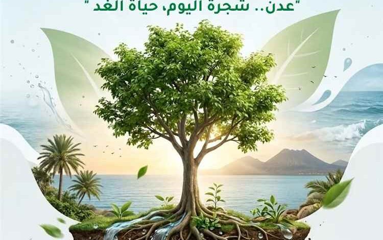 وزارة المياه والبيئة تطلق حملة توعوية للحفاظ على الأشجار في محافظة عدن