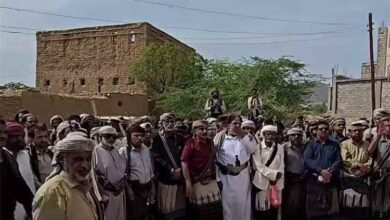 وفود قبلية من شبوة وأبين تصل مطارح آل عديو طلباً للصلح