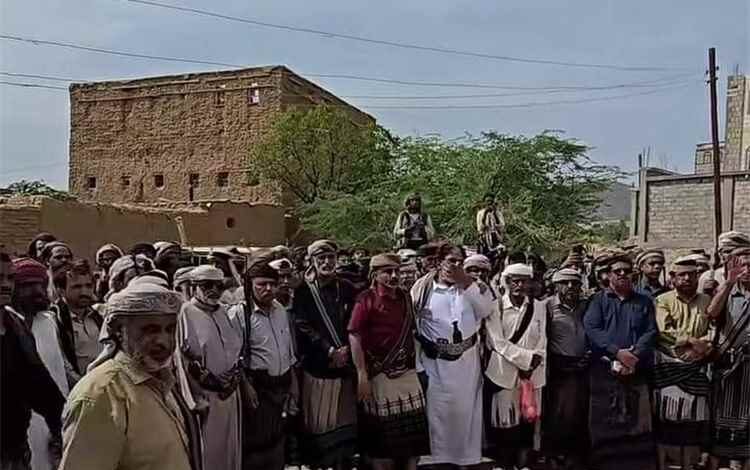 وفود قبلية من شبوة وأبين تصل مطارح آل عديو طلباً للصلح