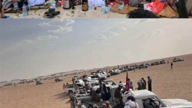 يتقدمهم كبار مشايخ وأعيان القبيلة.. وفد من قبيلة مراد يصل إلى الجوف تلبيةً لدعوة النكف القبلي