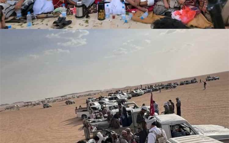 يتقدمهم كبار مشايخ وأعيان القبيلة.. وفد من قبيلة مراد يصل إلى الجوف تلبيةً لدعوة النكف القبلي
