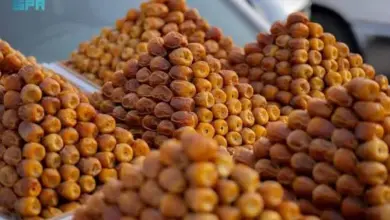 250 طناً من التمور يومياً في سوق البكيرية بنسخته السابعة عشرة