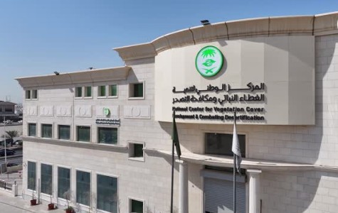 4 فرص استثمارية في متنزهات نجران.. «الغطاء النباتي» يدعم السياحة البيئية