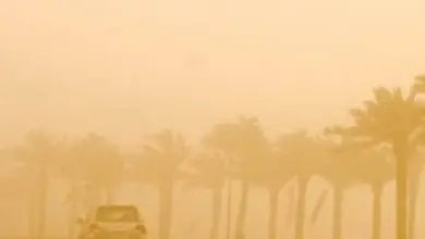أرصاد القصيم تحذّر من أتربة مثارة ورياح نشطة حتى السابعة مساءً