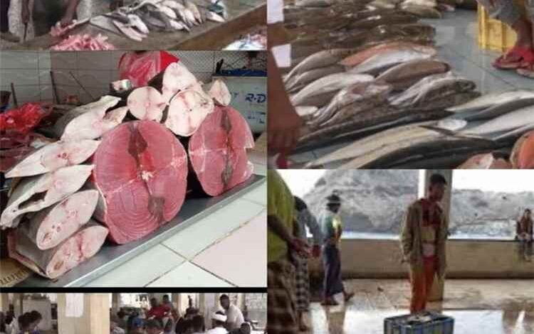 أسماك عدن.. ثروة بحرية على الشاطئ و موائد خاوية في الداخل !