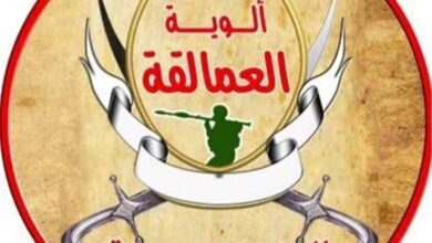 ألوية العمالقة: الحوثي عاجز في جبهات القتال ويستهدف المدنيين والأعيان المدنية