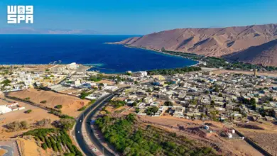 أمانة تبوك تطلق «صيفنا في مرافقنا» للتعريف بأكثر من 241 حديقة ومرفقاً عاماً