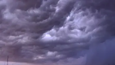 أمطار خفيفة ورياح نشطة على الرياض اليوم حتى المساء
