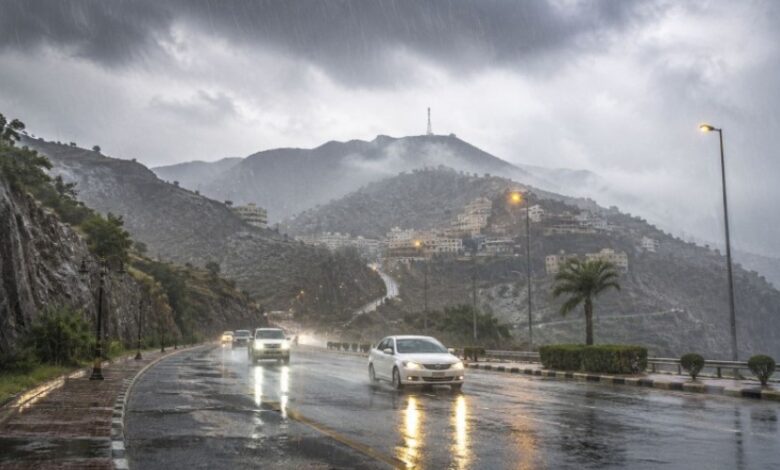 أمطار رعدية غزيرة وسيول متوقعة في 7 مناطق