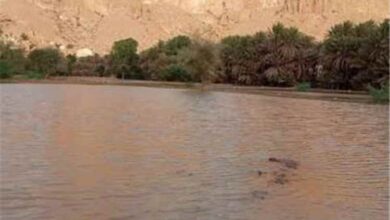 المشهد اليمني - أمطار غزيرة تضرب حضرموت وتحول شوارع رخية إلى أنهار جارفة
