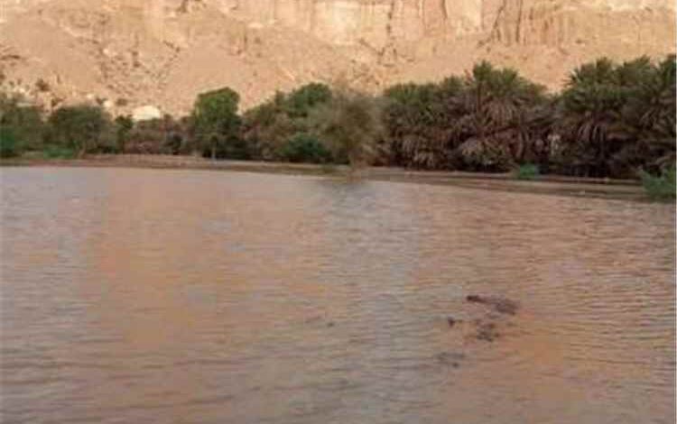 المشهد اليمني - أمطار غزيرة تضرب حضرموت وتحول شوارع رخية إلى أنهار جارفة