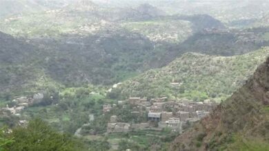 اشتباكات عنيفة وقصف متبادل بين الجيش ومليشيا الحوثي في جبهات تعز