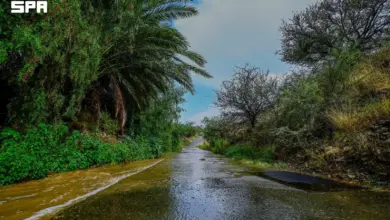 الأرصاد: أمطار رعدية ورياح نشطة وتدنٍ في الرؤية على الباحة حتى السابعة مساءً