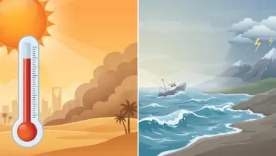الأرصاد تحذّر من حرارة شديدة ورياح مثيرة للغبار تضرب عدة مناطق