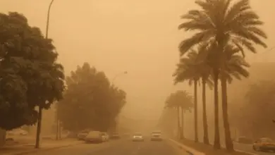الأرصاد تحذّر من رياح نشطة وأتربة مثارة في حائل وتبوك ونجران