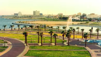 الأرصاد: موجة حارة تضرب الشرقية بدرجات حرارة تصل إلى 49° مئوية