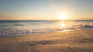 الأرصاد يحذر من موجة حارة تبلغ 50 درجة وأمطار غزيرة على منطقتين