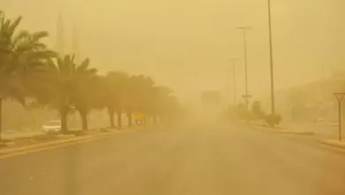الأرصاد يحذّر من أتربة مثارة ورياح نشطة تضرب 7 محافظات في الرياض