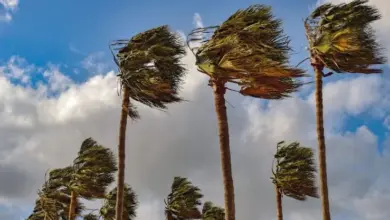 الأرصاد يحذّر من رياح شديدة وانعدام الرؤية على بحرة والليث والقنفذة