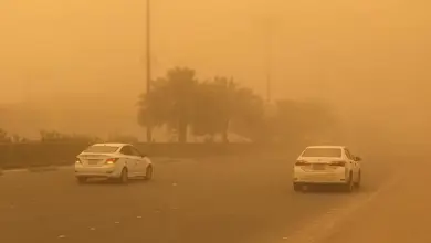 «الأرصاد» يحذّر من عوالق ترابية تضرب نجران وتُقلّص الرؤية إلى 5 كلم