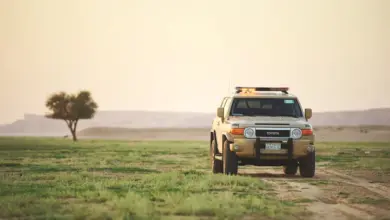 الأمن البيئي يضبط مواطنًا لإشعاله النار في غير الأماكن المخصصة بمحمية الإمام فيصل بن تركي الملكية