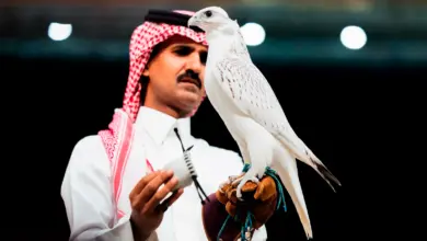 الأمير نايف بن سلطان بن محمد بن سعود الكبير: شراء «مثلوث جير» بـ1.3 مليون ريال استثمار في مستقبل إنتاج الصقور المحلية