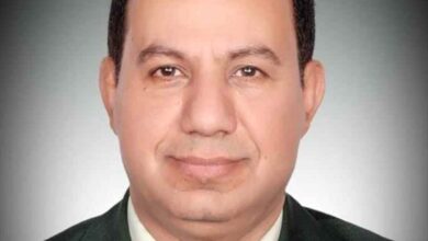 الشبحي: الحوثيون يخططون للتقدم نحو أربع محافظات محررة